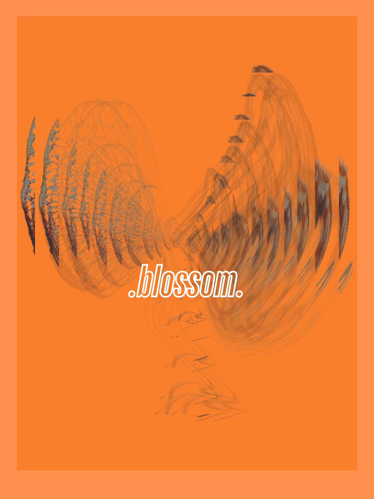 .Blossom.