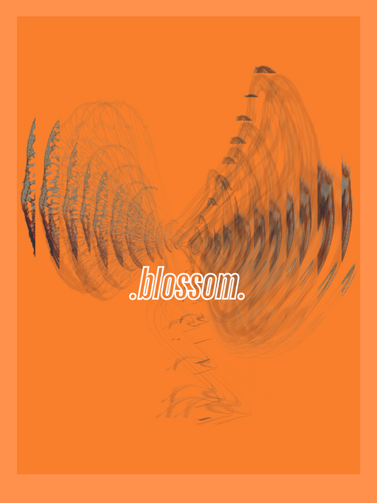 .Blossom.